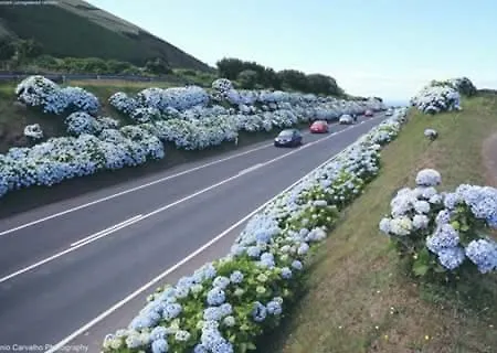 Appartement Cinco Reis *