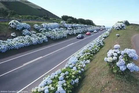 Appartement Cinco Reis *